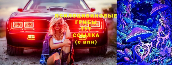 стафф Навашино