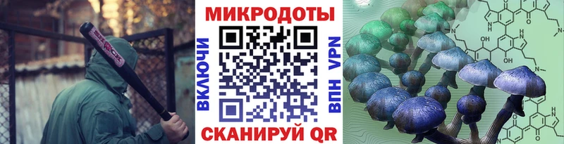 ссылка на мегу рабочий сайт  Багратионовск  Псилоцибиновые грибы мухоморы 